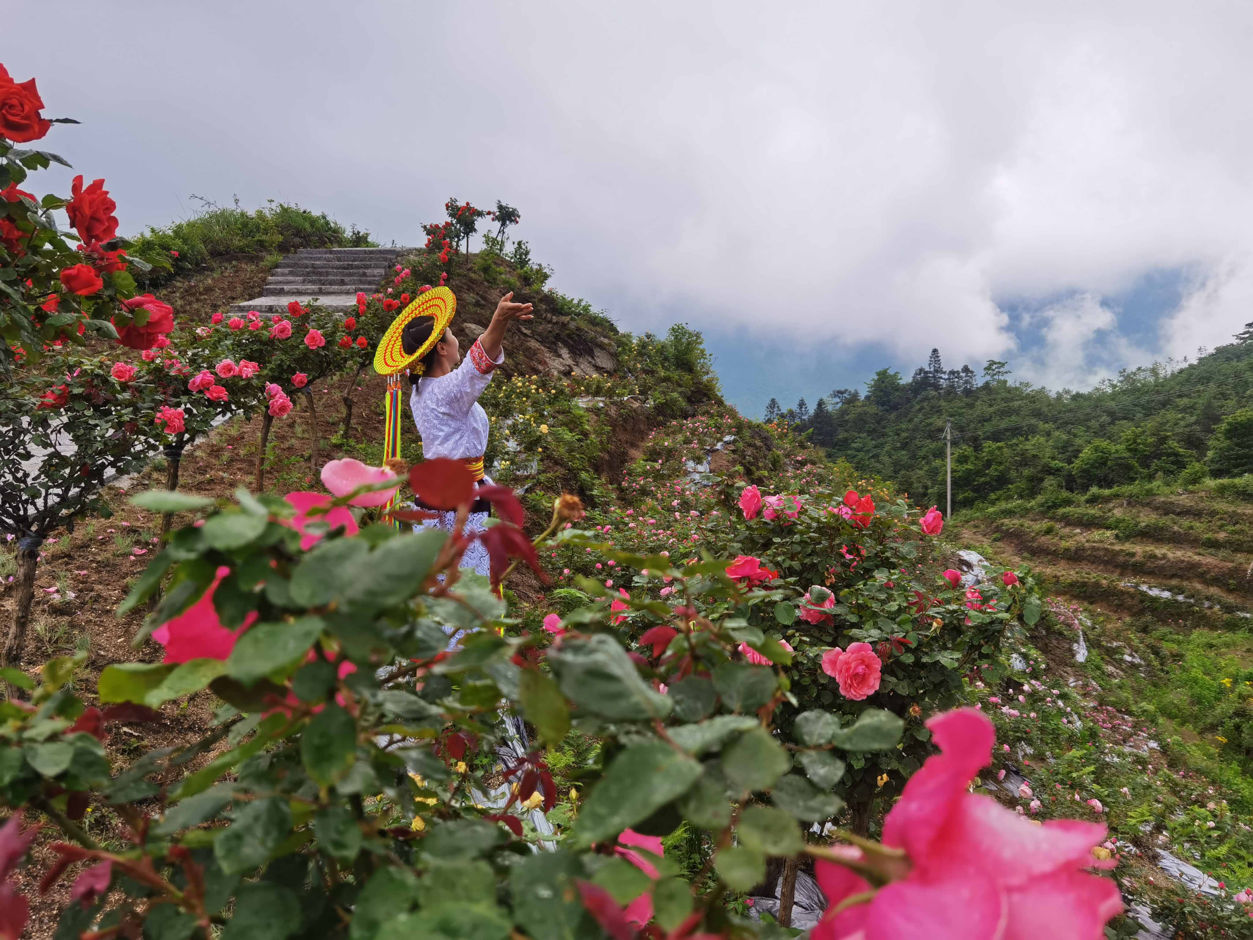 花瑶风情2